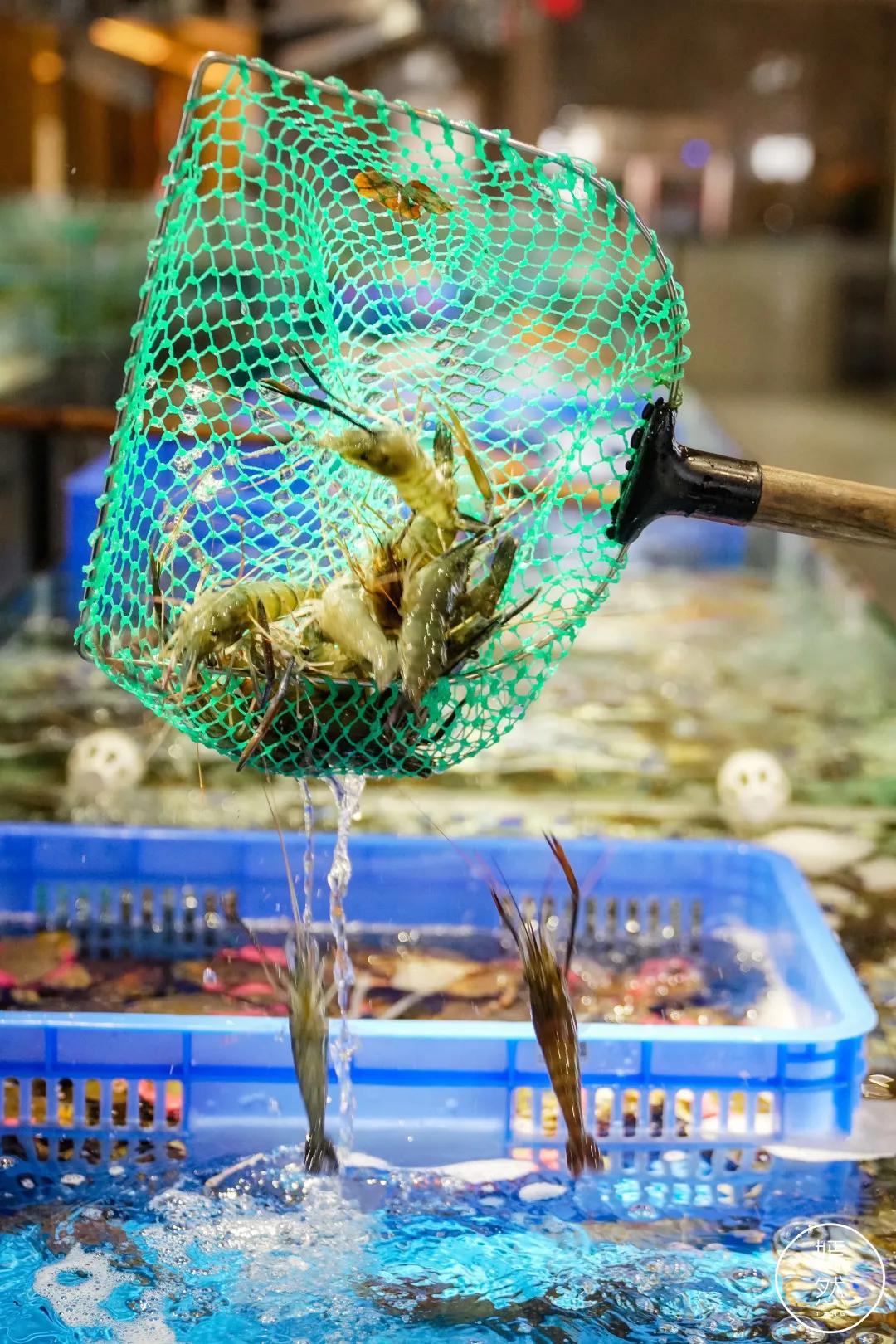 驶入厚街的「海鲜巨舰」，秋日鲜味来袭