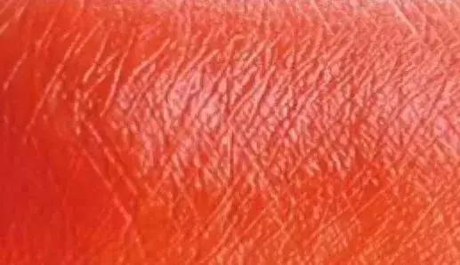 全网前十口红,全网最火20支口红