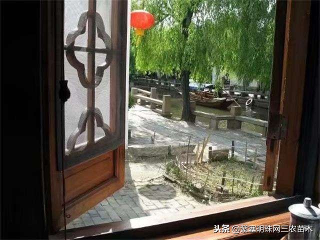 蓟州紫塞明珠农家院,紫塞明珠丰宁农家乐