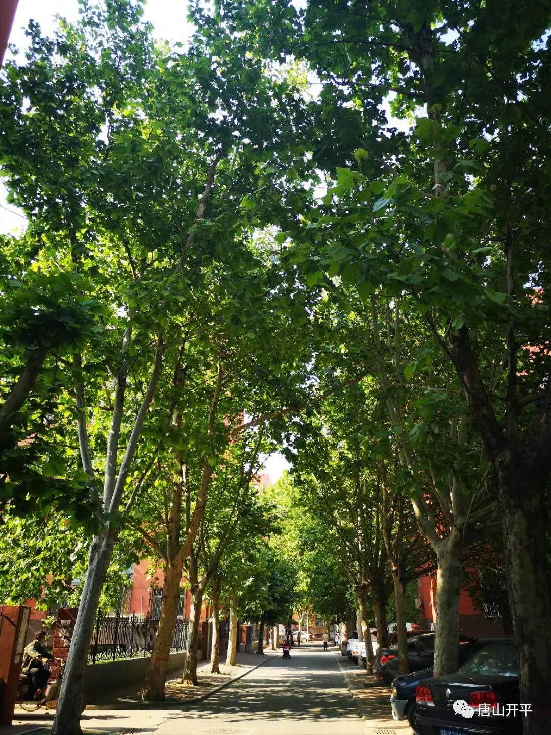 开平的美惊艳了时光,一起去感受开平的魅力