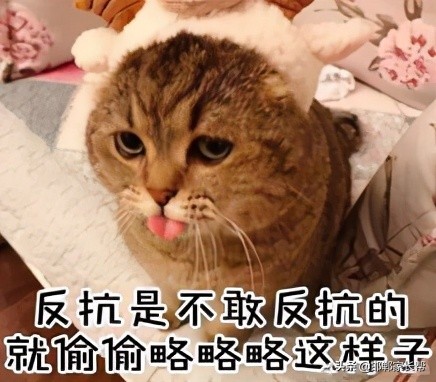 衡水中学录取分数线是裸分吗,衡水哪个高中录取分数线低