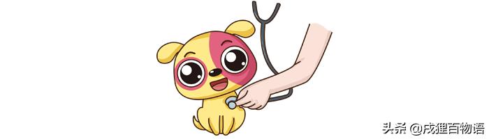 狗狗抽搐整夜嚎叫后突然不叫了,新犬到家不停叫喊怎么办