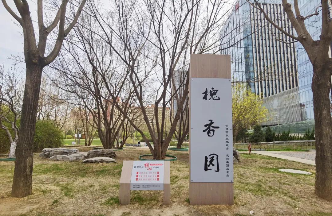 石景山公园绿地景观效果,石景山网红打卡地夜景