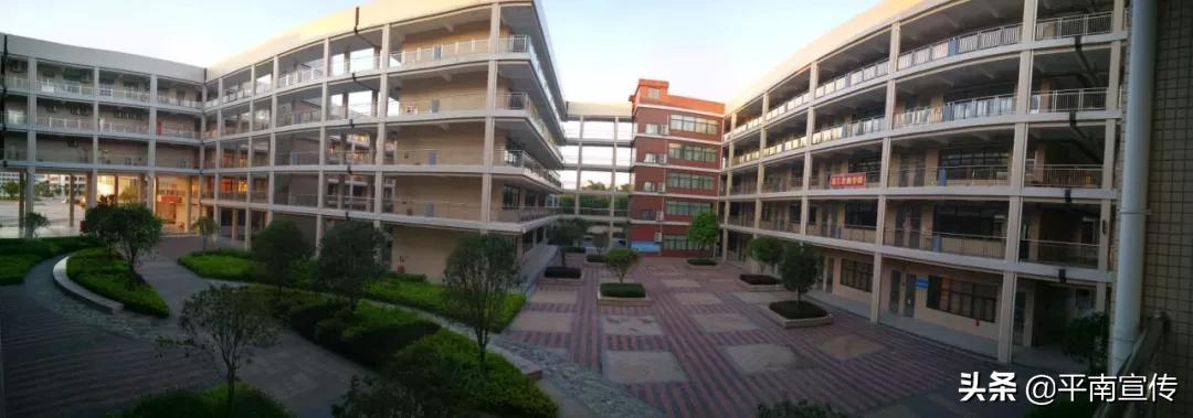 平南县教育,广西平南县教育