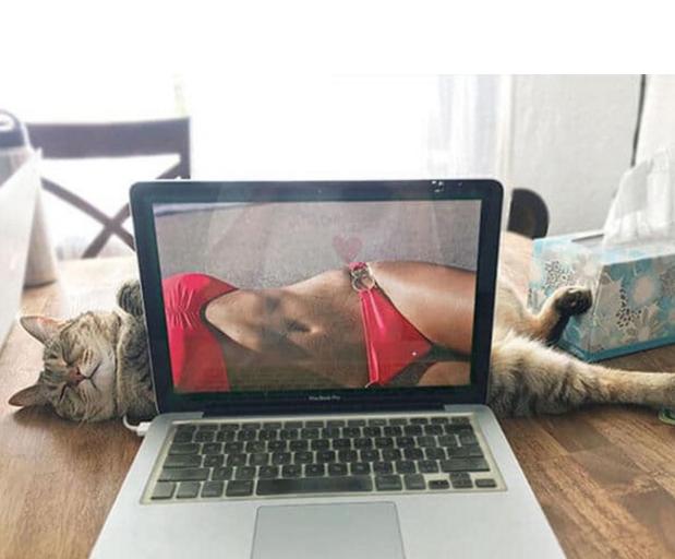 搞笑图片大全二十四张,搞笑图片大全集