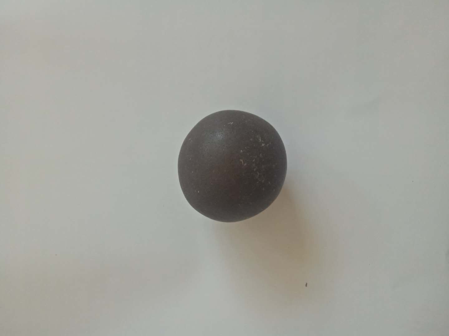 最新精品羊,罕见羊宝