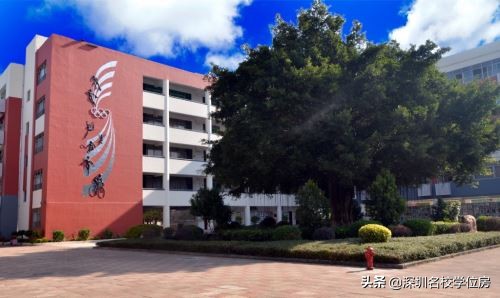 宝安2019初中排名,2019年深圳宝安区初中排名