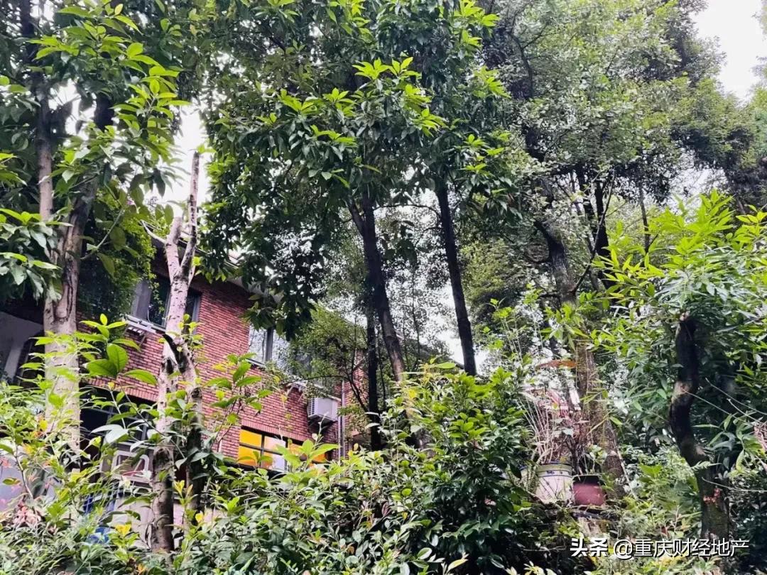 蓝湖郡业主传奇,芜湖蓝海信达蓝湖郡