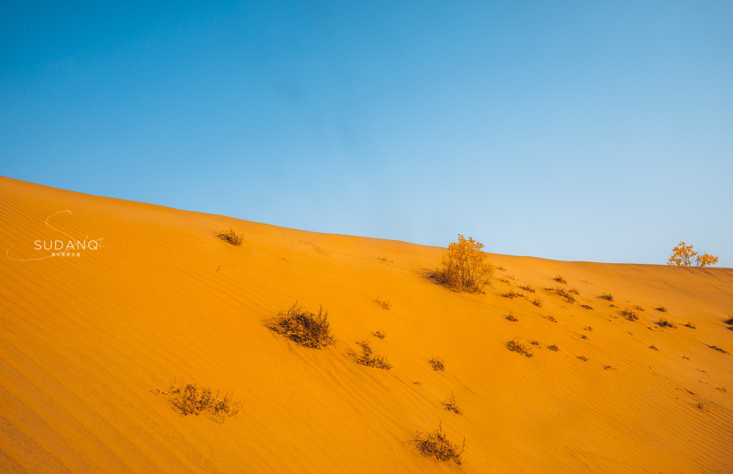疆内哪里好玩风景好,疆内好玩的地方推荐