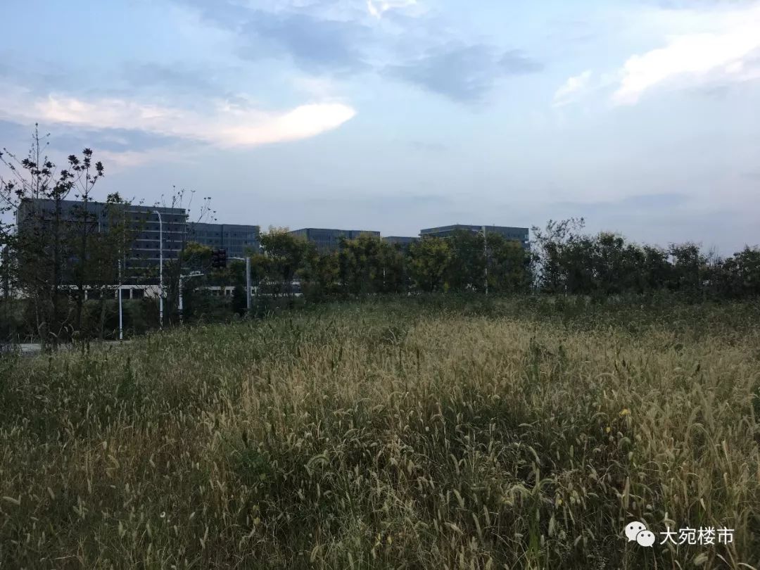 南阳三馆一院是不是每天都开,南阳三馆一院平时人多不