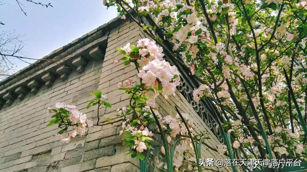 南开中学天津介绍,南开中学一览