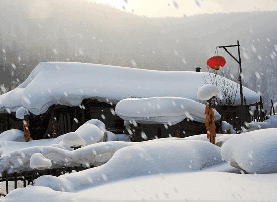 鍫瘮鐟炲+鐨勪腑鍥芥粦闆満,濯茬編鐟炲+