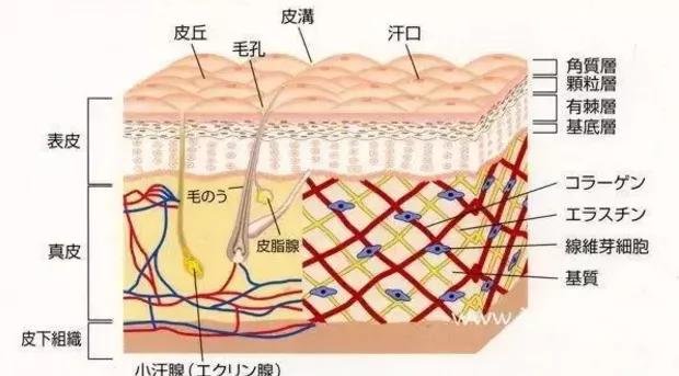 媲美“刘诗诗的百万修图师”，有了这款面膜，你也能拥有好皮肤