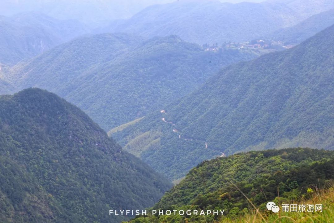 五月的山真的好美,五月的山的介绍