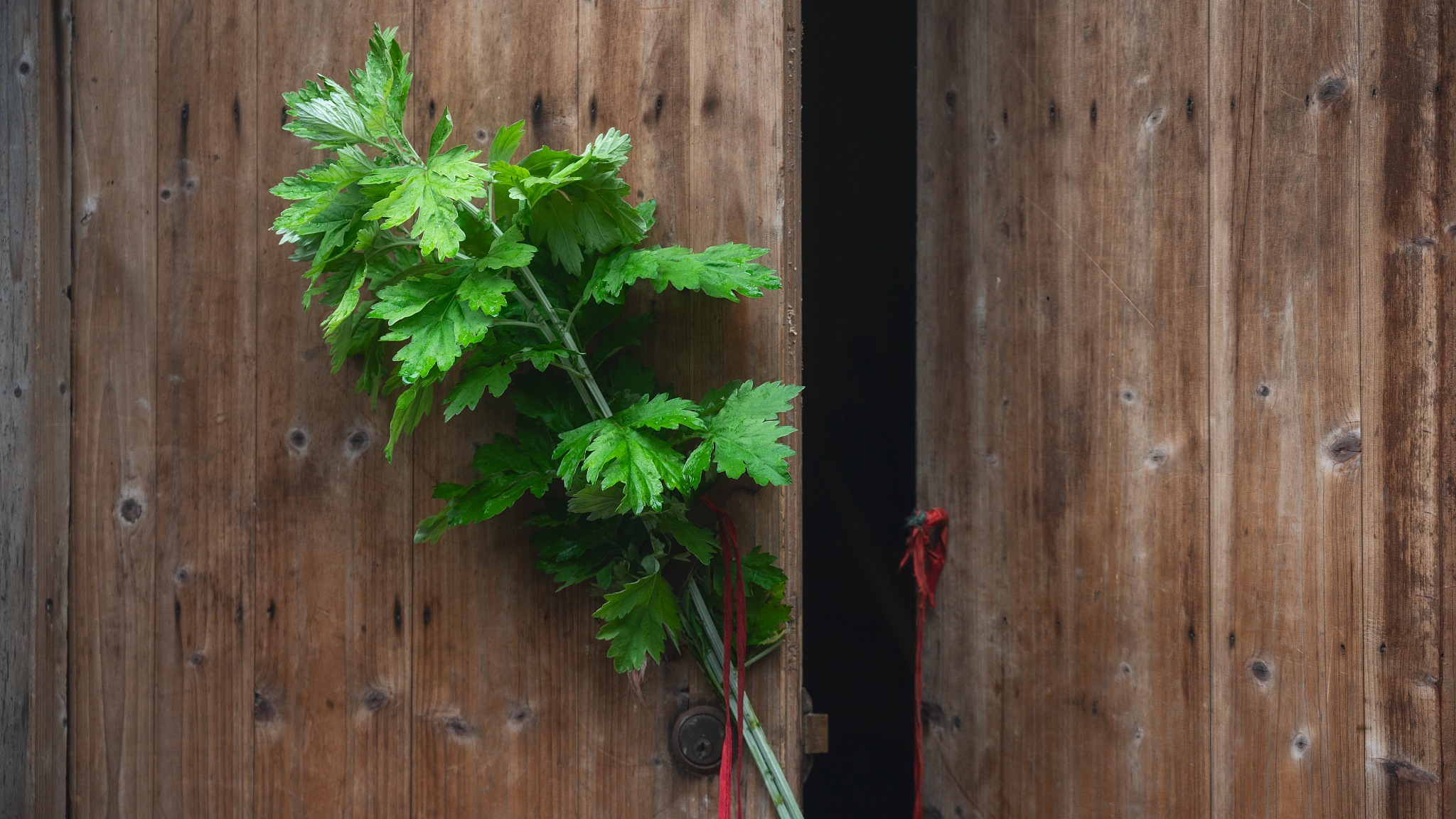 你以为韩国抢了中国的端午节?虽然只有一字之差,但却差之千里