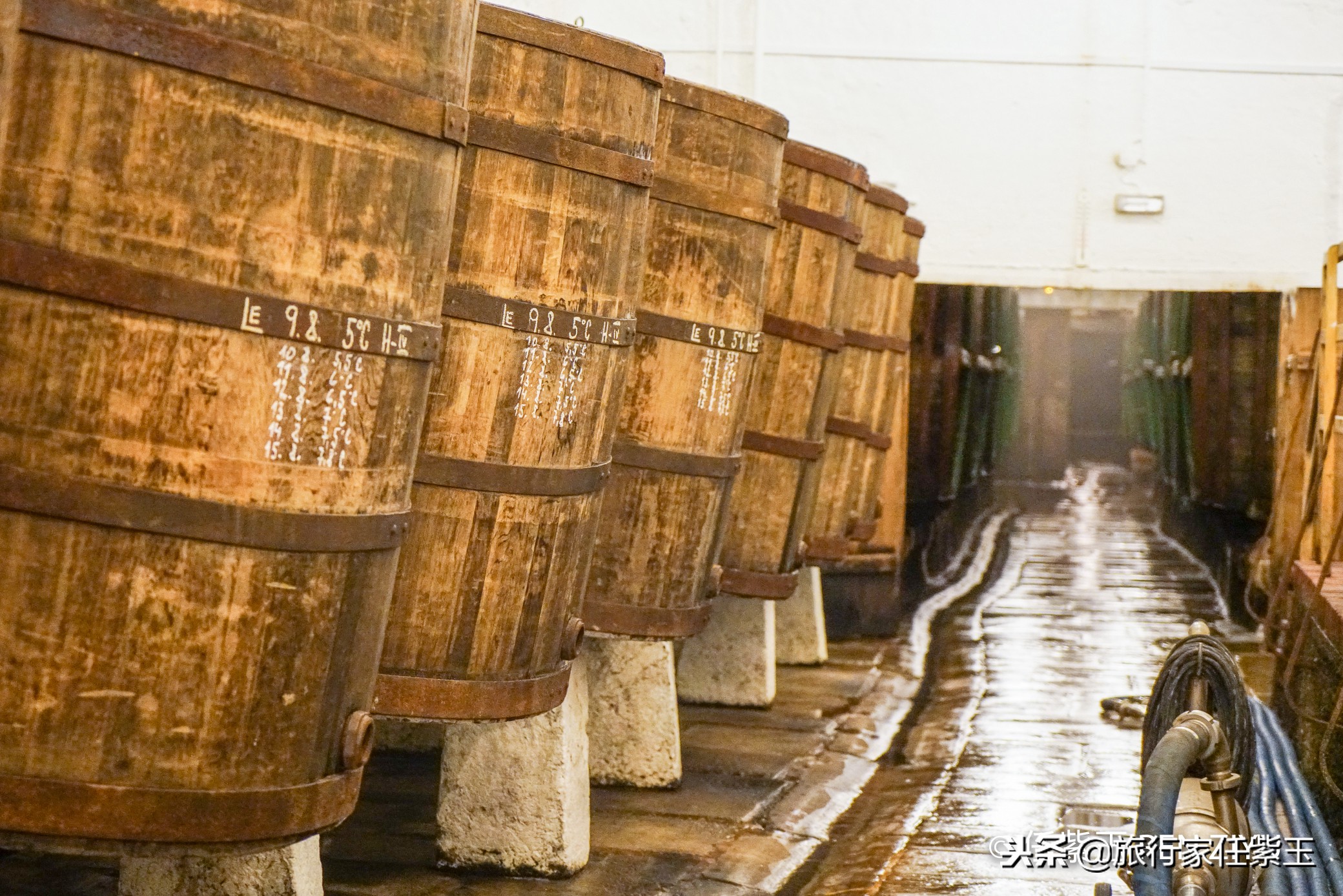 捷克人爱喝酒,捷克人多爱喝啤酒