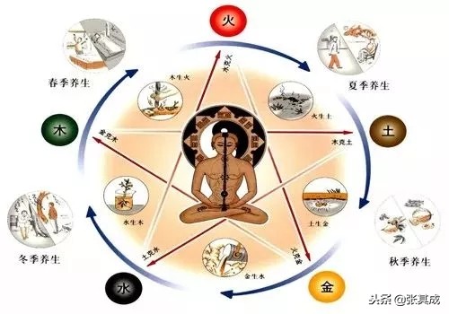 张其成：中医药文化核心价值“仁和精诚”的内涵