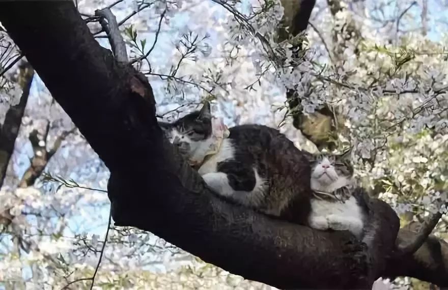 沐之出自什么诗句,沐之诗词