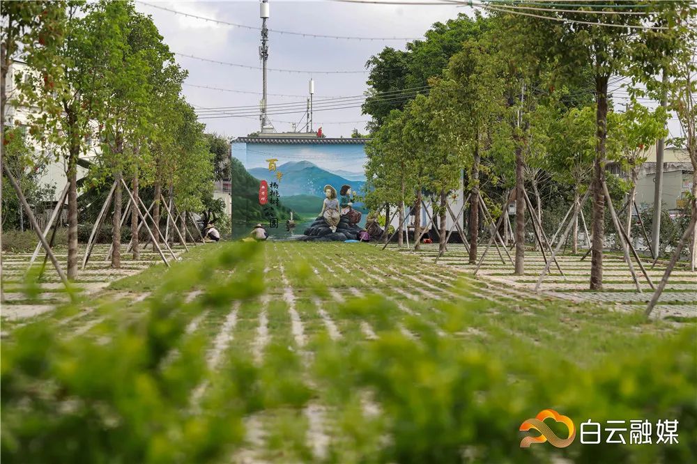 白云农村设计的房子,白云村还建房