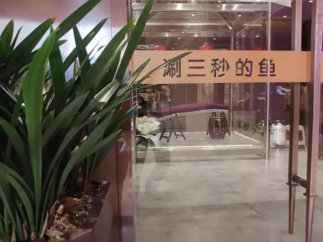 3斤多的斑鱼可以片几盘肉,三四斤左右黑鱼