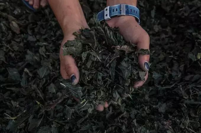 匡威1970s配色最好看的,什么颜色的匡威1970s好看