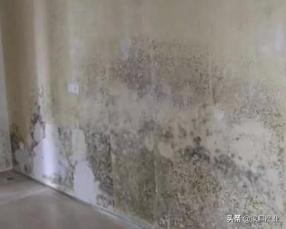 南方人家里一年四季都在发霉？这份除霉秘籍快收好