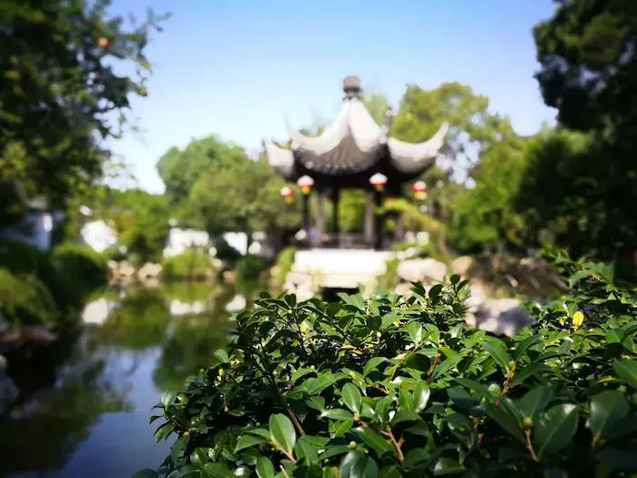 木渎古镇藏在闹市中的江南名镇,苏州木渎小众古镇