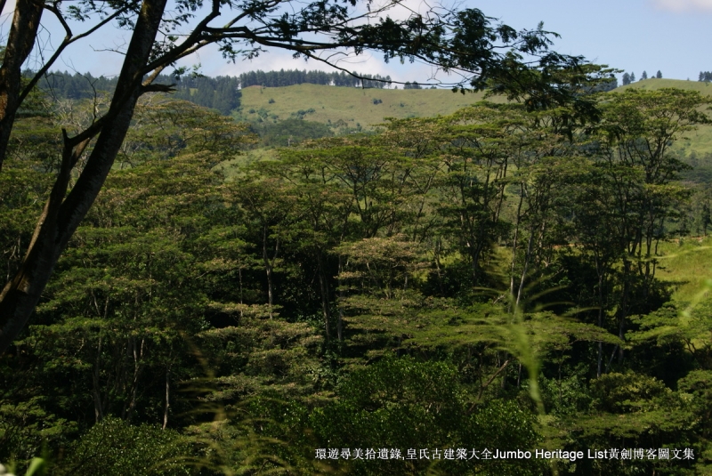 第1360回：丹布勒久旱逢甘露，亚当峰它乡遇故知