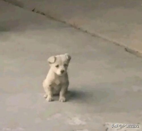 不开心的时候出去看看风景吧,不开心的时候就去逛逛街