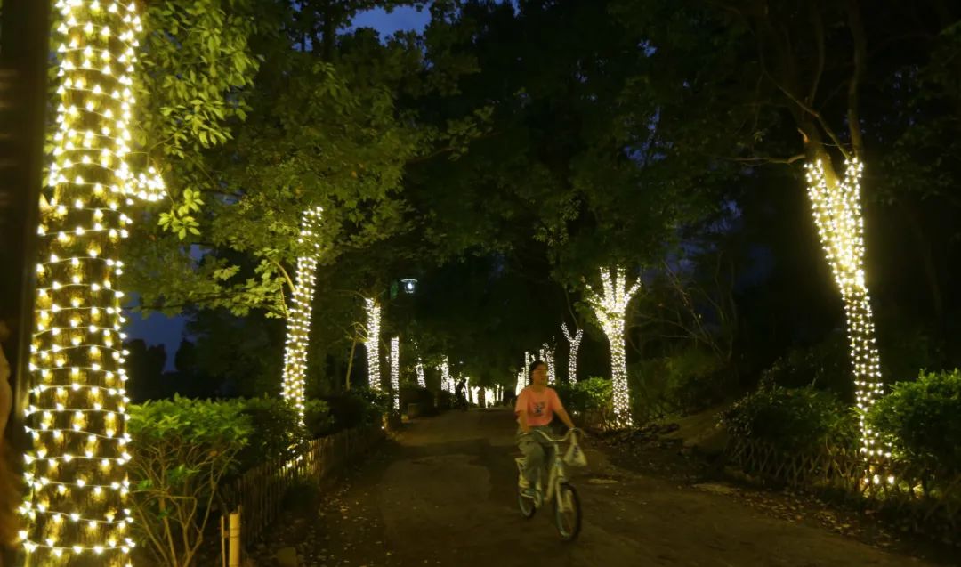 夜新叶，新叶夜，夜夜夜夜夜！唱吧醉仙居，探秘奶茶吧，茶憩戏曲馆，漫步烟花巷……每周六晚