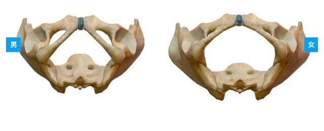 如何消除假髋,怎样纠正假髋宽