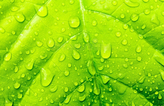 空翠湿人衣前一句,空翠湿人衣分析