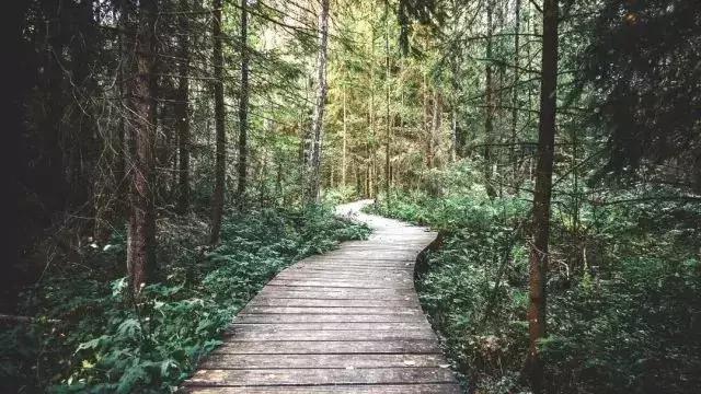 植树节播种绿色希望收获美好未来,植树节爱绿护绿文明有我