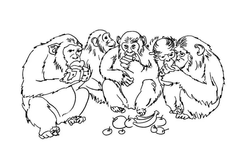 一分钟学会酿酒技巧,三分钟了解葡萄酒的酿造全过程