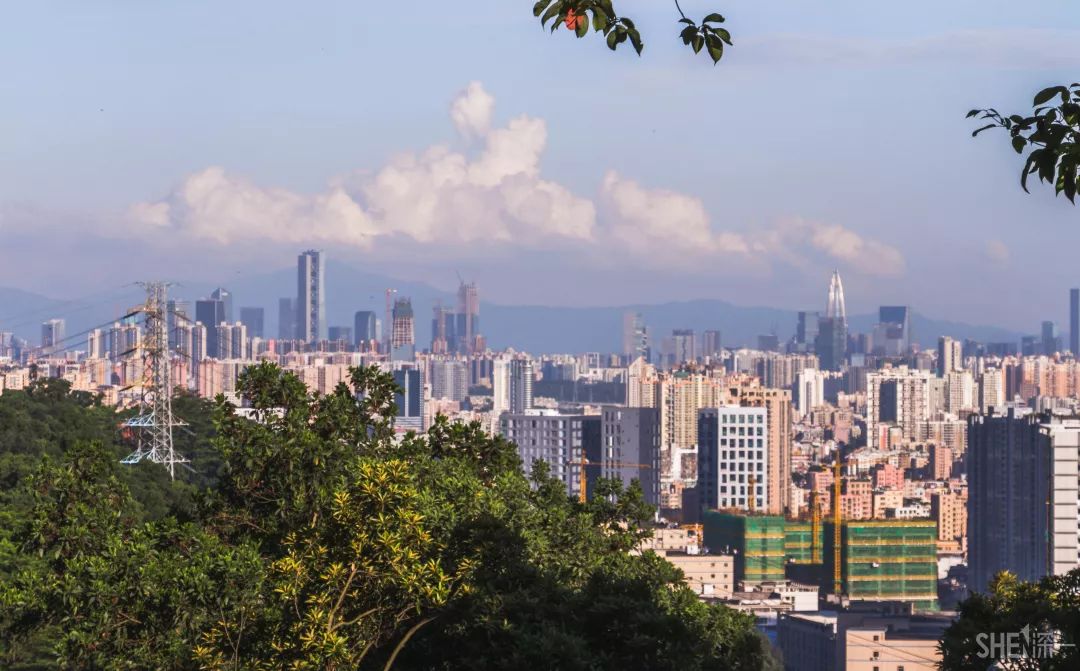 鍘夊浜嗘垜鐨勫ぇ閽﹀窞,鍘夊浜嗘垜鐨勫ぇ淇濆畾