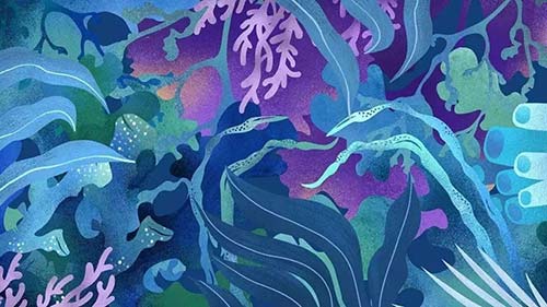 古筝专业艺术生毕业就业前景,新西兰艺术生就业前景