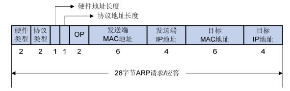 arp入门教程,arp基础教学