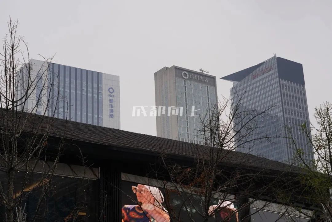 如何让成都变东京？网友：大LOGO收敛点