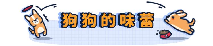 为什么狗的舌头那么长,狗的舌头为啥会长毛