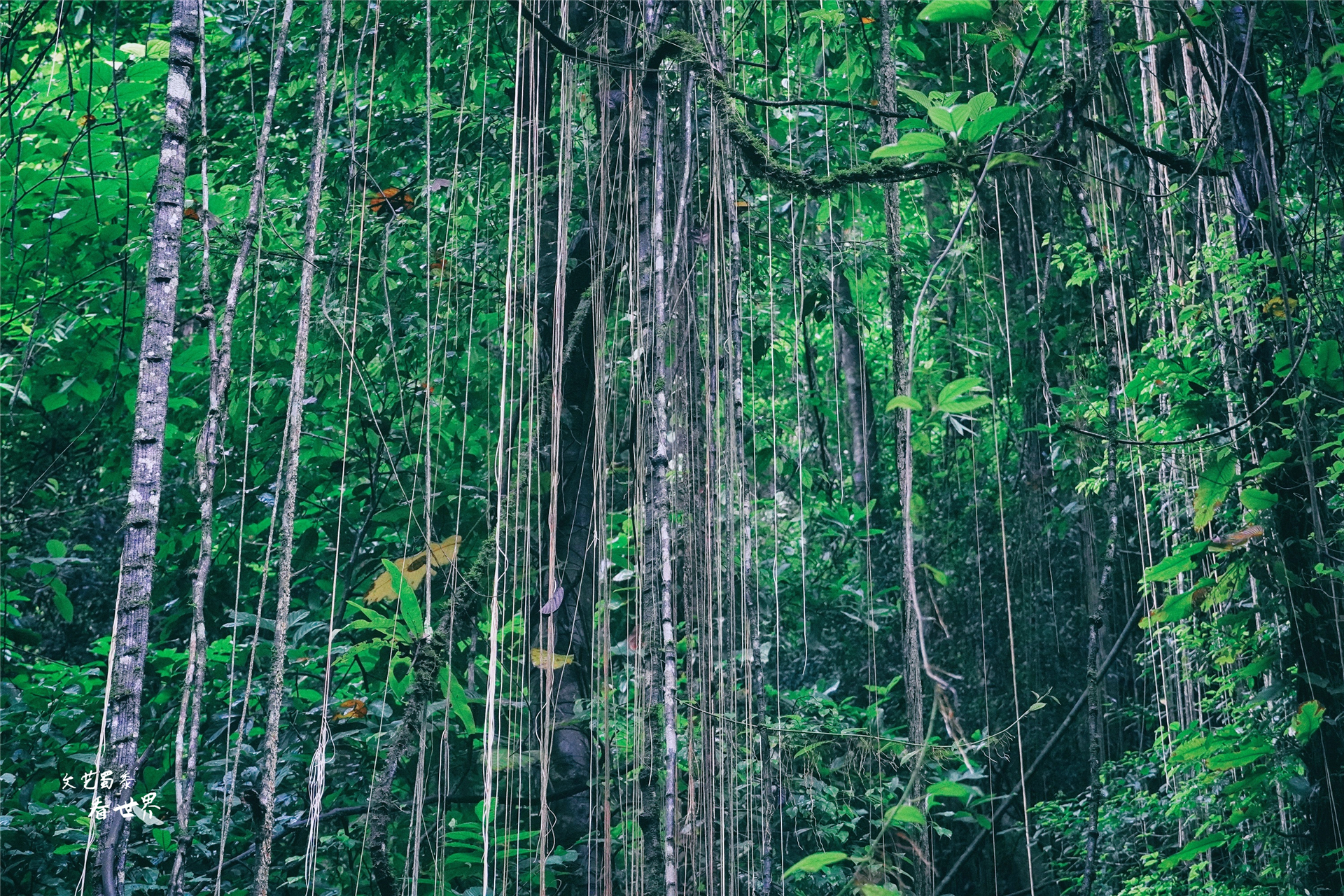 云南比大理丽江还适合养老的地方,云南冬天最适合养老的地方是哪里