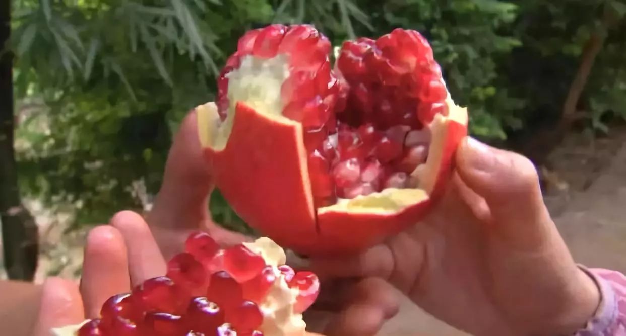 软籽石榴怎样找销路,农村种软籽石榴前景如何