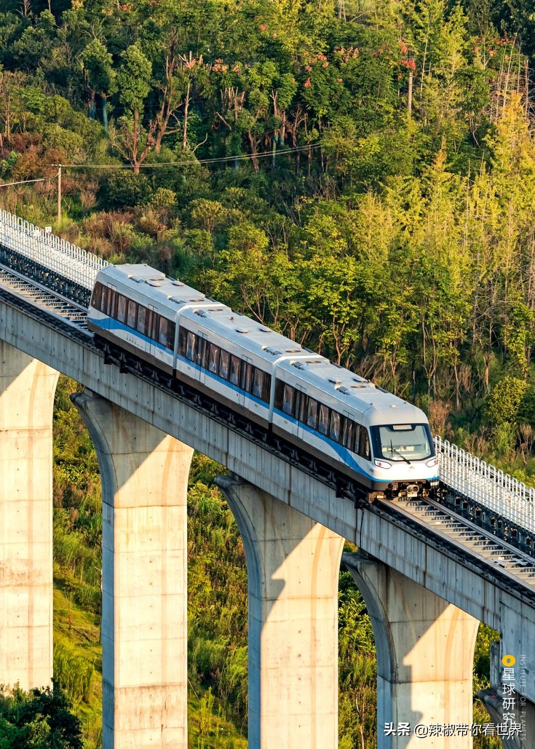 从西到东：长沙——解密星城它绝对不会让你失望