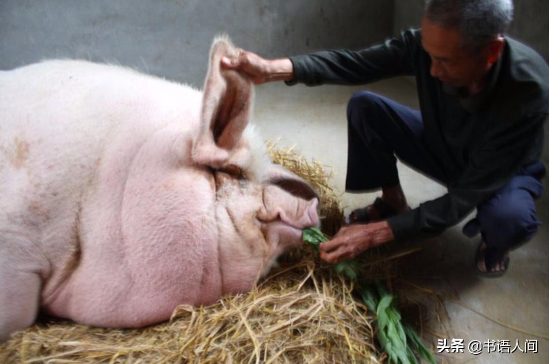 平头百姓、愁眉、屋漏、滑稽等词汇在古代原来是这些意思