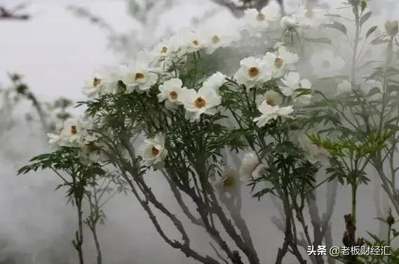 中国县城社会现状,中国县城发展情况