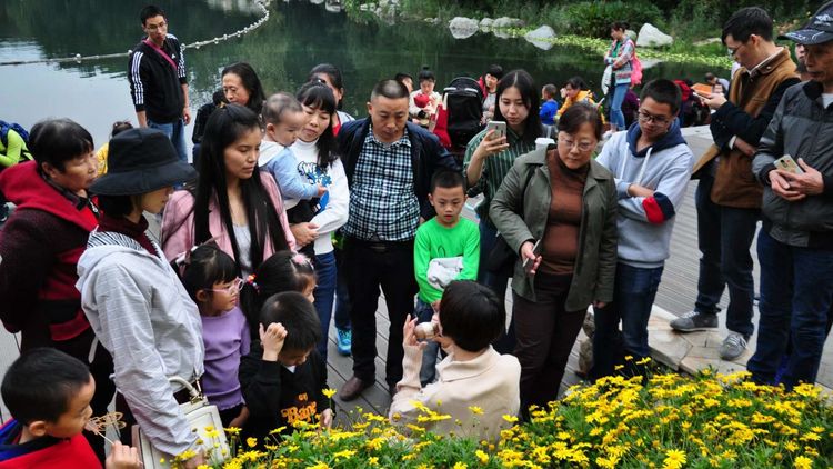 深秋的私语,美文美图经典欣赏