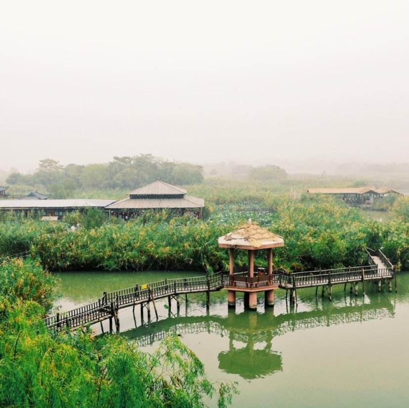 蜜月之旅去哪里好,蜜月之旅推荐国外