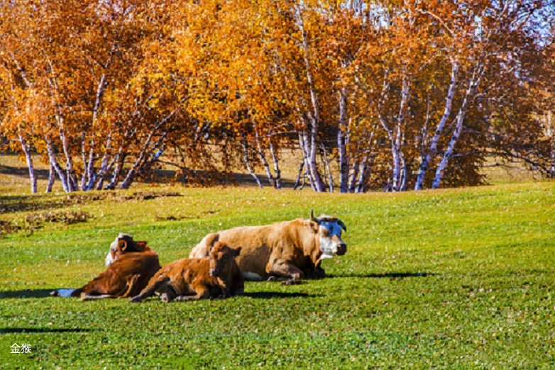 蓦然回首灯火阑珊处下一句,蓦然回首灯火阑珊处12