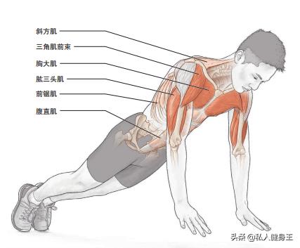 5个动态俯卧撑动作,有效增强上肢爆发力,在家徒手就可以练!