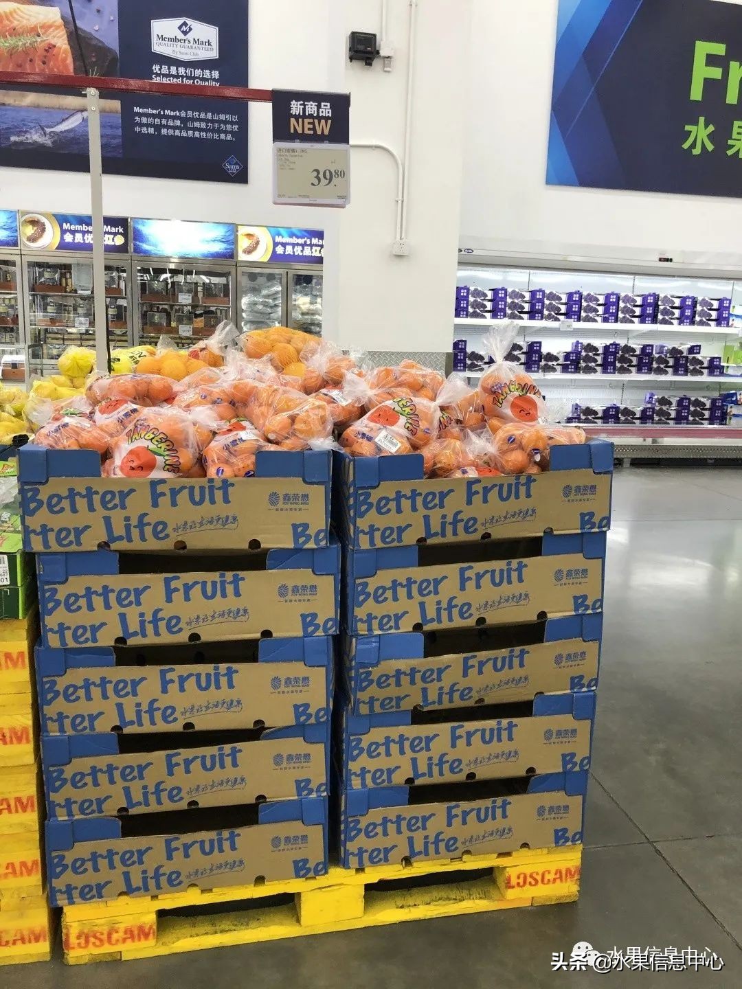 中秋节前，走访两家水果零售店，水果标准化在这里体现的淋漓尽致