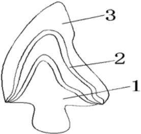 急急如律令哪吒完整版咒语,哪吒之魔童降世急急如律令口诀
